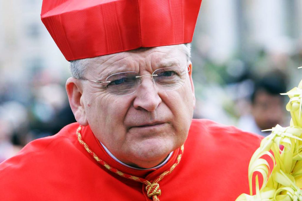 VATICAN CITY, VATICAN - APRIL 13: Former Archbishop of St. Louis cardinal Raymond Leo Burke attends Palm Sunday Mass celebrated by Pope Francis at St. Peter's Square on April 13, 2014 in Vatican City, Vatican. Palm Sunday, which is the 6th Sunday of Lent, marks the official beginning of Holy Week during which Christians recall the passion and death of Christ. (Photo by Franco Origlia/Getty Images)